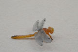 Vivid Mini Plastic Artificial Dragonfly Toy