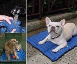 New Product Cooling Mat for Pet