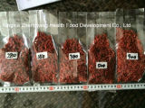 Dried Goji Berry with 550grains/50g