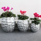 Fo-312 Decorative Flower Plant Pot for Decorate