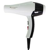 AC Motor Salon Professional Hair Dryer (DN. 8200)