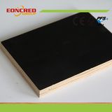 Film Faced Plywood (Black/ Brown/ Red/ Smooth/ Anti-slip)