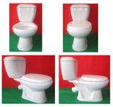 Close Coupled P-Trap Toilet for Russia