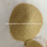 Sodium Alginate Textile Gade for Bangladesh