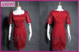 Fashionable Dress/Party Dress/Evening Dress (AS1085)