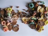 Breakfast Cereals Corn Snacks Machinery