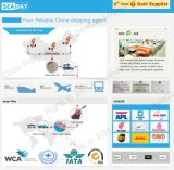Shipping Service / Sea Shipping / Consolidation Service From China Shenzhen / Guangzhou / Shanghai/Ningbo to UAE,Dubai