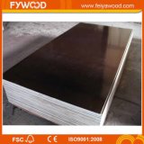 Film Faced Plywood/Shuttering Board Construion Plywood
