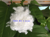7D*64 Hcs Hollow Conjugated Siliconized Polyester Staple Fiber for Filling Pillows, Cushions