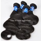 Shanghai Rui Lan Mfg. Co., Ltd.