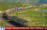 Professional China Cis Railway Transport to Almaty