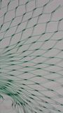 We Produce 7GSM Green Extrude Bird Net