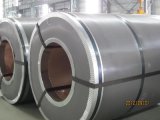 Hight Quality Galvanzied Steel Coil for Building