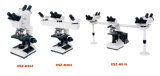 Multi-Viewing Microscope (TPS-XSZ-510)