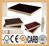 Phenolic Glue 18mm Film Faced Plywood