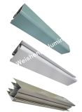 Aluminum Profiles for Window