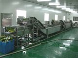 Vegetable and Fruit Processing Machine