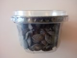Pumpkin Seeds in Vacuum Plastic Cups 100 G in 8 Tastes