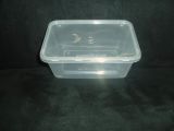 Plastic Container (DSK-1000)
