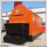 Coal Boiler with Single Drum (DZL)