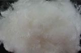 Polyester Staple Fiber  (Super Bright 1.2d)