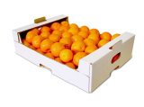 Custom Printing Corrugated Box for Fresh Fruit