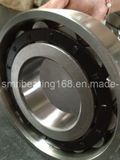 Sweden SKF Cylindical Roller Bearing (NUP205EC)