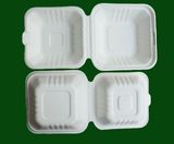 Dispostable Tableware (SH-06)