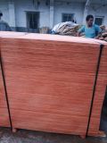 8mm Red Hardwppd Face Plywood