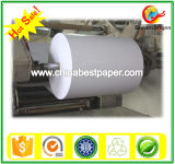 Grade AA Paper Cup Base Paper