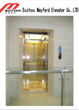 400kg Stainless Steel Mirror Residential Elevator with Floor Tile