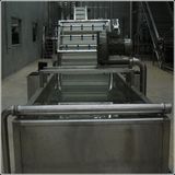 Fruit Washing Equipment