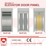 Concave Golden Stainless Steel Door Panel for Elevator Cabin Decoration (SN-DP-349)