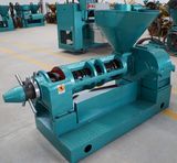 Big Input Oil Press Machine / Usage Sunflower Seed, Cotton Seed, Tea Seed