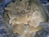 Oyster Mushroom in Brine