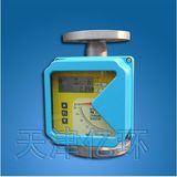 Variable Area Flow Meter (YHFZ) -6