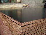 18mm Brown/Black Film Faced Plywood with WBP Glue