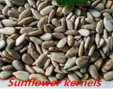 Chinese Wholesale Sunflower Seeds