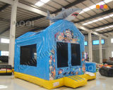 Inflatable Bouncer & Slide (AQ07115)