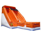 Inflatable Outdoor Slide (GS-134)