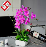 Artificial Fake Real Touch Home Decoration Phalaenopsis Orchid