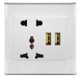 International Electrical Outlet with 2 USB Charger