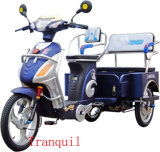 Electric Trike (AG-ETP05)
