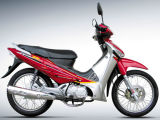 Motorcycle (DL110-6)