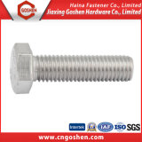 Full Thread Hex Cap Bolt with Stainless Steel