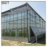 4mm 5mm Super White/Ultra Clear Tempered Glass for Greenhouse