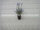 Artificial Plastic Potted Flower (XD14-159)