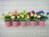 Artificial Plastic Potted Flower (XD14-183)