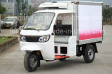China Manufacturer Closed Cargo Box Refrigerator Tricycle