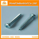 A2; A4 Fastener Phillips Pan Head Self Fasteners Tapping Screws